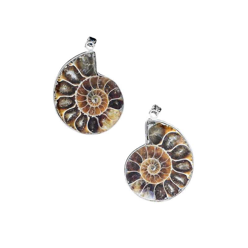 Ammonit Anhänger